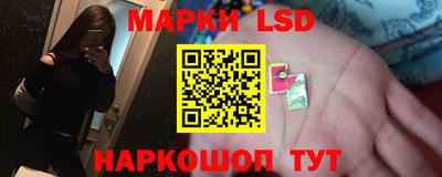тгк Владикавказ