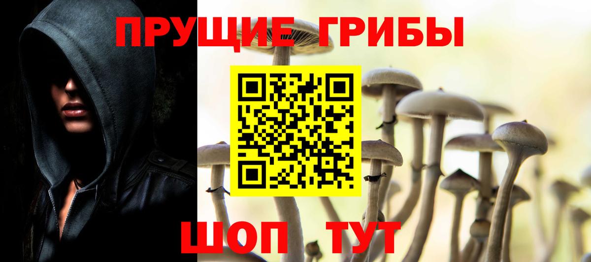 Псилоцибиновые грибы GOLDEN TEACHER  Вход с VPN  Орск  Псилоцибиновые грибы Psilocybine cubensis 